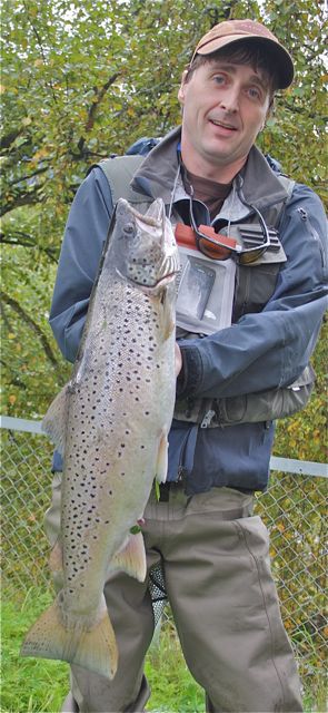 Mjøsørreten opp i elvene!